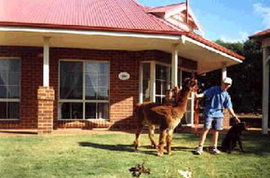  Lismore Accommodation