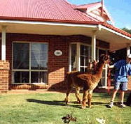 Brilea Cottages - Lismore Accommodation