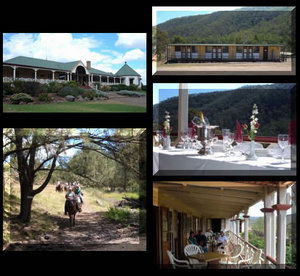 Bestbrook Mountain Resort - Lismore Accommodation 1