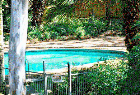 Forest Lodge Apartments - Lismore Accommodation 0