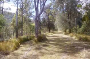 Toms Creek Retreat - Lismore Accommodation 1