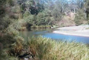Toms Creek Retreat - Lismore Accommodation 4