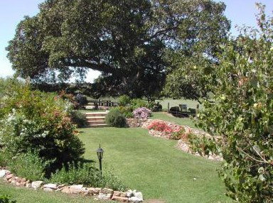 Maddies Of Bolwarra - Lismore Accommodation 1