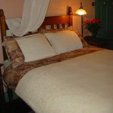 Maddies Of Bolwarra - Lismore Accommodation 3