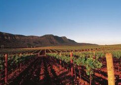 Peppers Guest House Hunter Valley - Lismore Accommodation 2