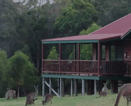 Walpole Wilderness Resort - Lismore Accommodation