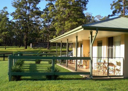 Neds Bed Horse O Tel - Lismore Accommodation 1