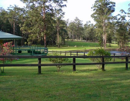 Neds Bed Horse O Tel - Lismore Accommodation 2