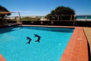 President Holiday Apartments - Lismore Accommodation 3