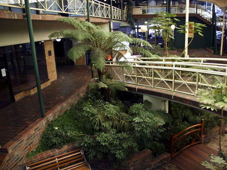 Mayfair Plaza Motel - Lismore Accommodation 3