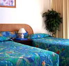 International Beach Resort - Lismore Accommodation