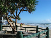 Burlington Holiday Apartments - Lismore Accommodation 5