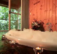 Tree Houses Of Montville - Lismore Accommodation