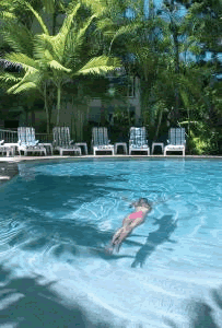 The Lookout Noosa Resort - Lismore Accommodation 7