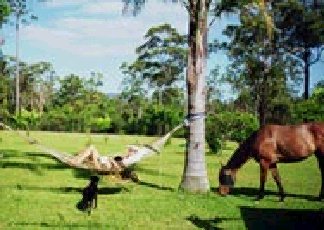 Clybucca NSW Lismore Accommodation