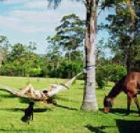 Neds Bed Horse O Tel - Lismore Accommodation