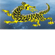 Dragon Phoenix Motel amp Restuarant - Lismore Accommodation