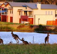 Grand Mercure The Vintage Hunter Valley - Lismore Accommodation