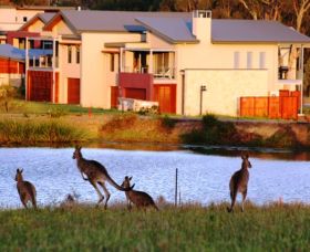 Grand Mercure The Vintage Hunter Valley - Lismore Accommodation 0