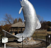 Snow Goose Hotel Motel - Lismore Accommodation