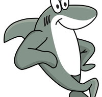 Sharky Beach Bed and Breakfast - Lismore Accommodation