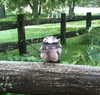 Milton Park - Lismore Accommodation