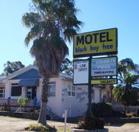 Blackboy Tree Motel - Lismore Accommodation