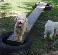 Beenleigh Pet Motel - Lismore Accommodation