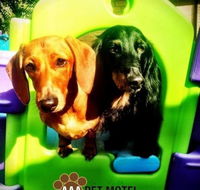 AAA Pet Motel - Lismore Accommodation