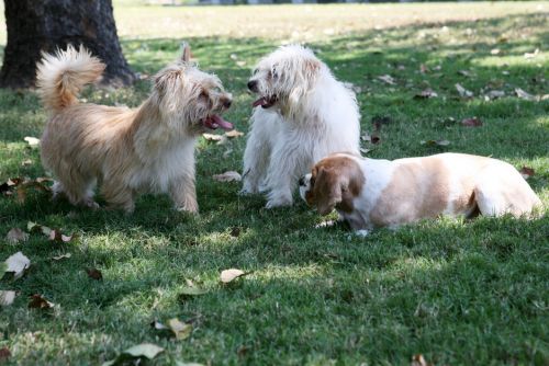 Willawong QLD Lismore Accommodation