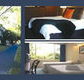 The Albany - Lismore Accommodation