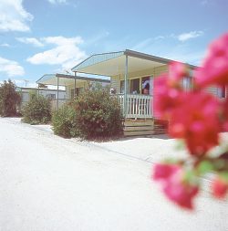Eldorado Tourist Park - Lismore Accommodation 0
