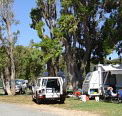 Elliston Caravan Park - Lismore Accommodation