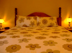  Lismore Accommodation