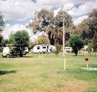 Morgan Riverside Caravan Park - Lismore Accommodation