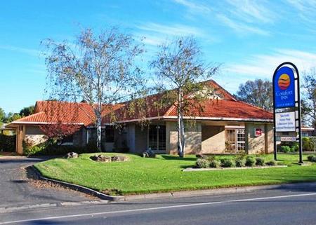 Comfort Inn Silver Birch - Lismore Accommodation 0