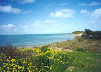 Southern Ocean Tourist Park - Lismore Accommodation 1