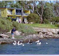 Almonta Holiday Apartments - Lismore Accommodation