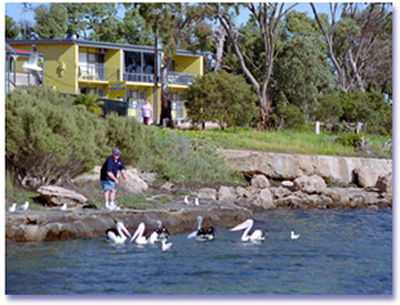 Almonta Holiday Apartments - Lismore Accommodation 0