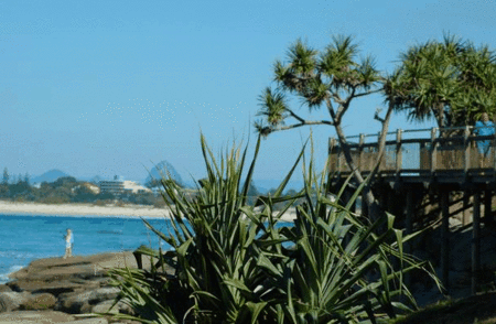 Pandanus Shores - Lismore Accommodation 5