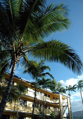 Palms At Trinity - Lismore Accommodation 3