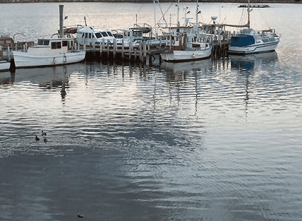 Hobart Apartments - Lismore Accommodation 1