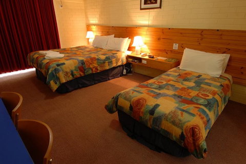 Barossa Motor Lodge - Lismore Accommodation 4