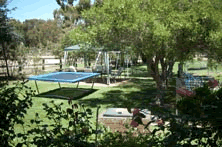 Tarcutta Halfway Motor Inn - thumb 8