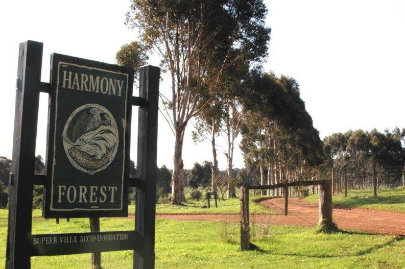  Lismore Accommodation
