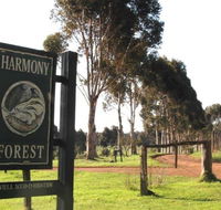 Harmony Forest - Lismore Accommodation