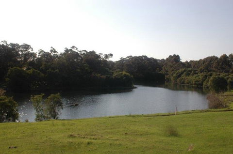 Harmony Forest - Lismore Accommodation 1