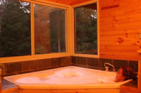 Harmony Forest - Lismore Accommodation 3