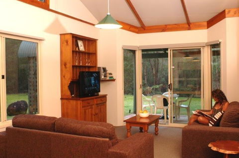Harmony Forest - Lismore Accommodation 5