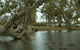 Bordertown Abode Parkland Motel - thumb 2